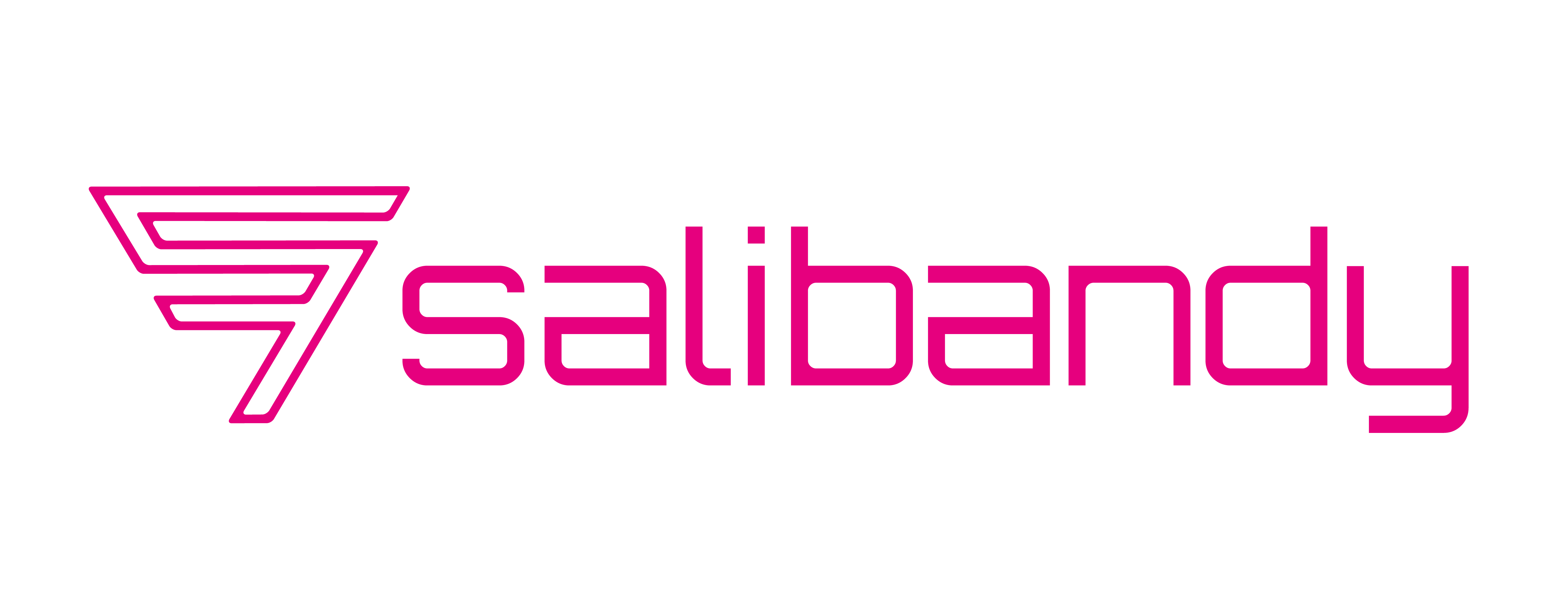 Salibandy logo